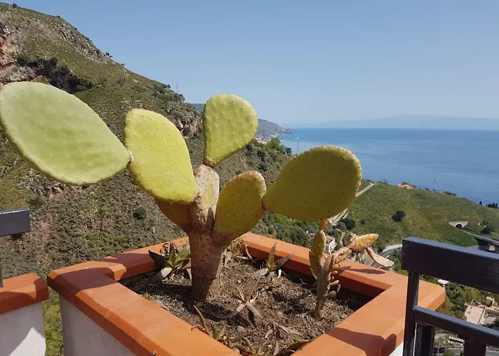 Apartment Elisa's House